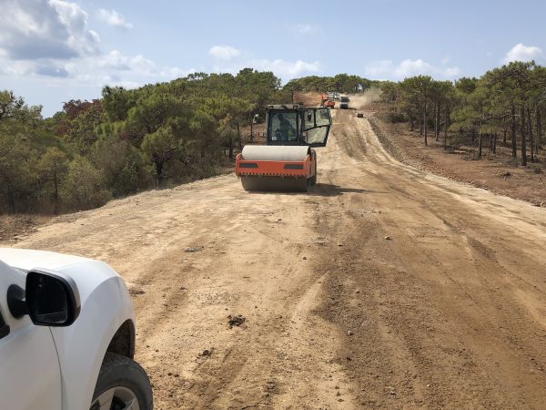 Cost of Driveway Grading in Boise
