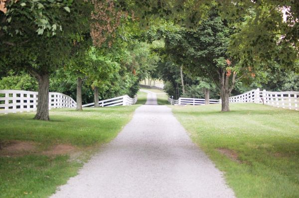 Cost of Gravel Road Installation in Boise