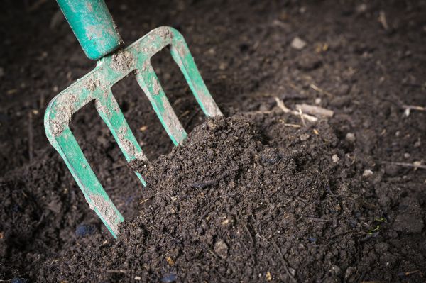 Cost of Topsoil Spreading in Boise