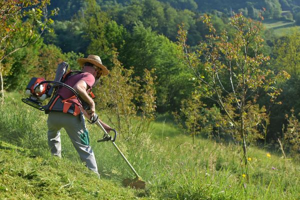 Cost of Slope Trimming in Boise